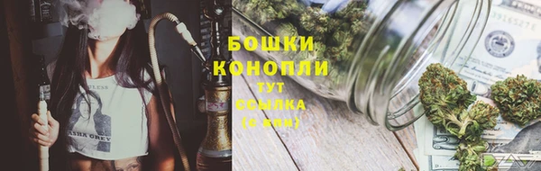 дмт Новодвинск