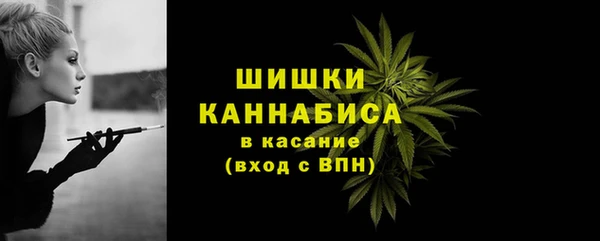 дмт Новодвинск