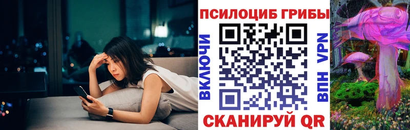 Псилоцибиновые грибы мицелий  кракен ТОР  Тогучин 